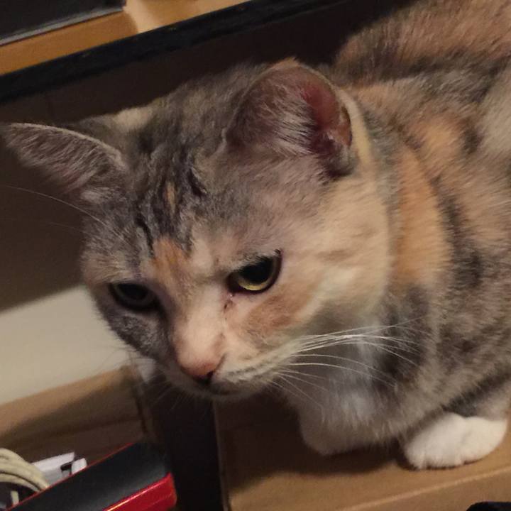 6c4d50da 897a 46c2 b81c 2c239d4002c4 1574151872614