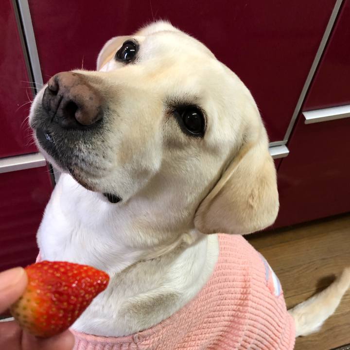 6c4d5840 0c7f 4042 879d 5652cc15270f 1583706748767