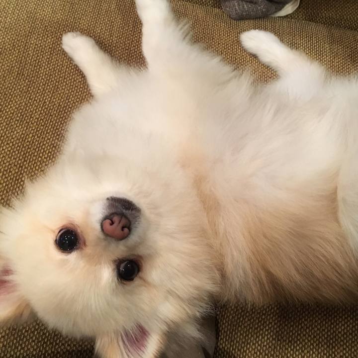 6c4d9958 19cd 4f7e a02b 52d2b3f7daeb 1573431817350