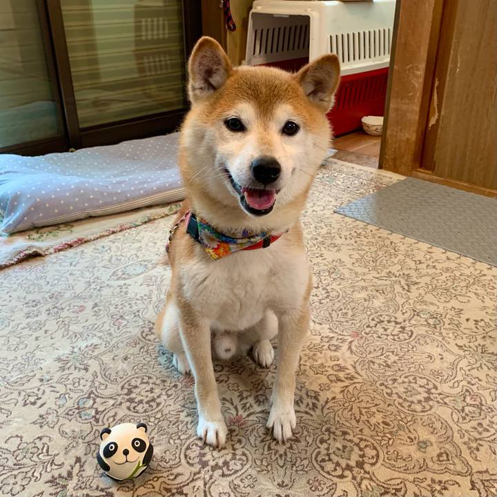 6c4dcd04 6aa0 4563 b431 0c57ca492a50 1627774494002