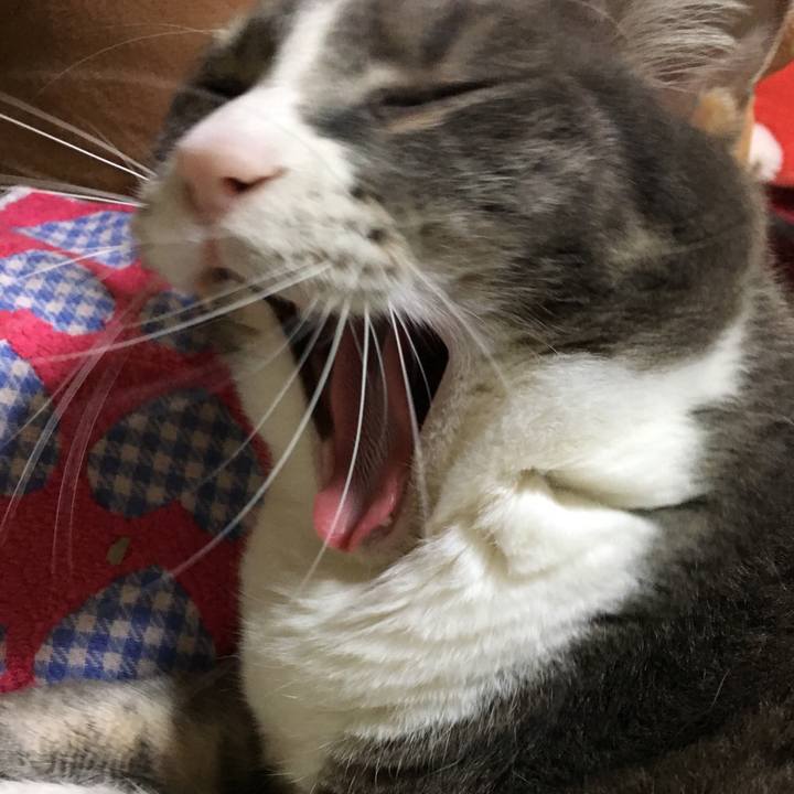 6c4df63a 6cba 4c61 84a0 9768e37b7c6c 1560075822929