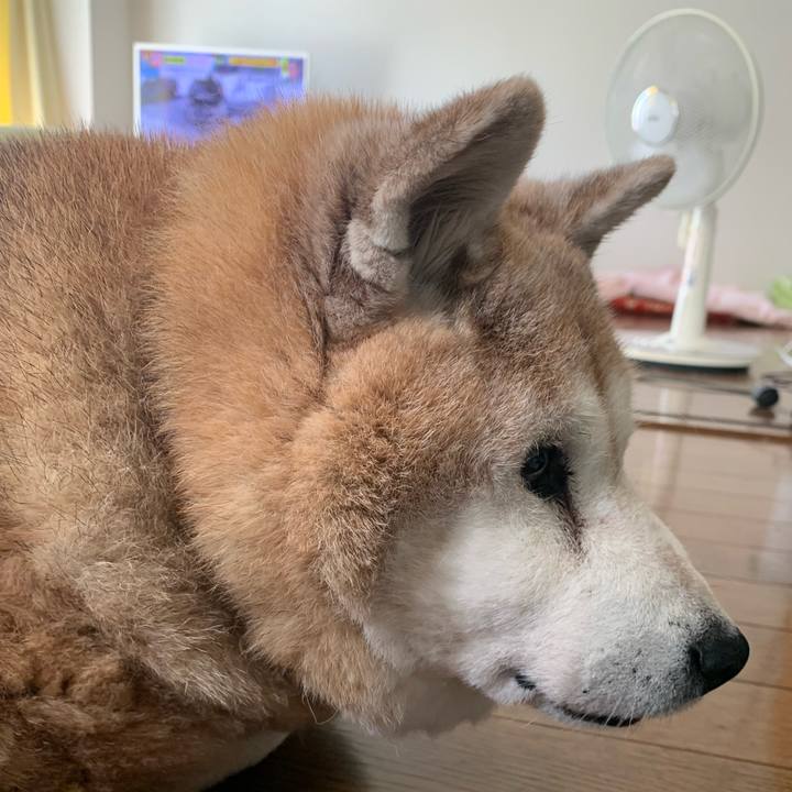 6c4df7d1 3d09 473a 84aa 388a9511a94a 1649654786630