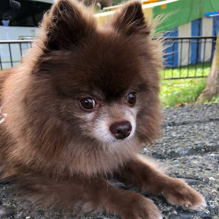 6c4e2cad af6d 4022 9d59 b041efb1005e 1536979003607