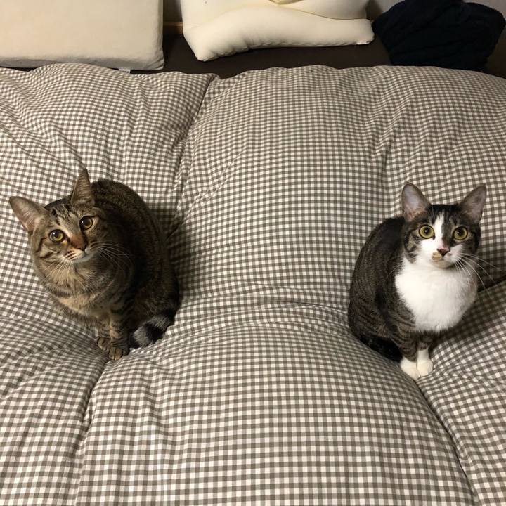 6c4e2d77 ed73 4628 82e5 2c0840e8544e 1518090934858