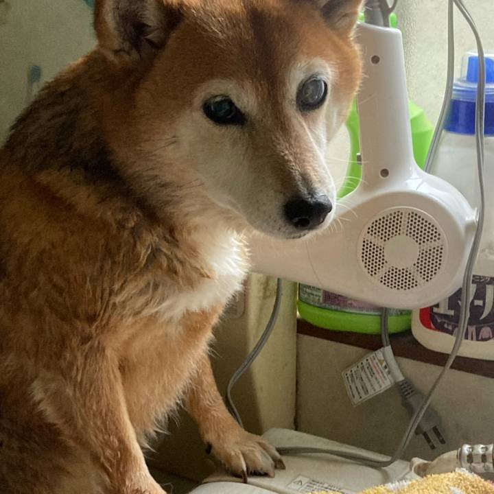 6c4e35bb e238 4684 b781 b15f898a4c58 1655519232108