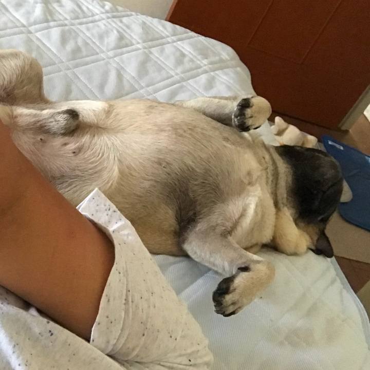 6c4e462f 6a89 42d2 8054 c59c37d42cd2 1534595142383