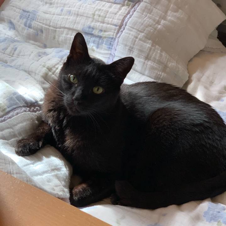 6c4e810e aad6 4fee a71f f01d514c6127 1563497509407