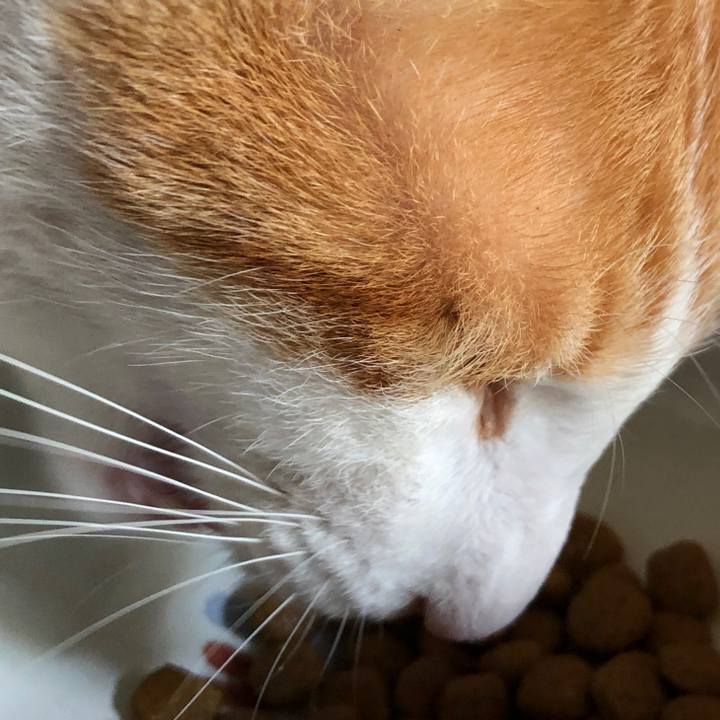 6c4ea7e7 d03a 4f5a a05c fda053beca22 1542358880441