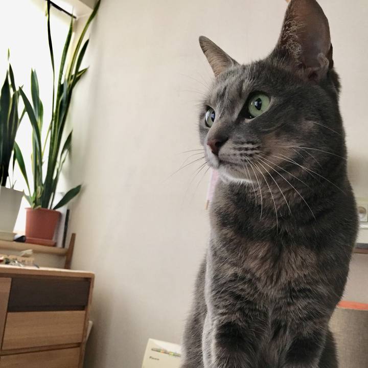 6c4ee486 6ae5 4b13 a058 3ccbf68d19b7 1555228255712