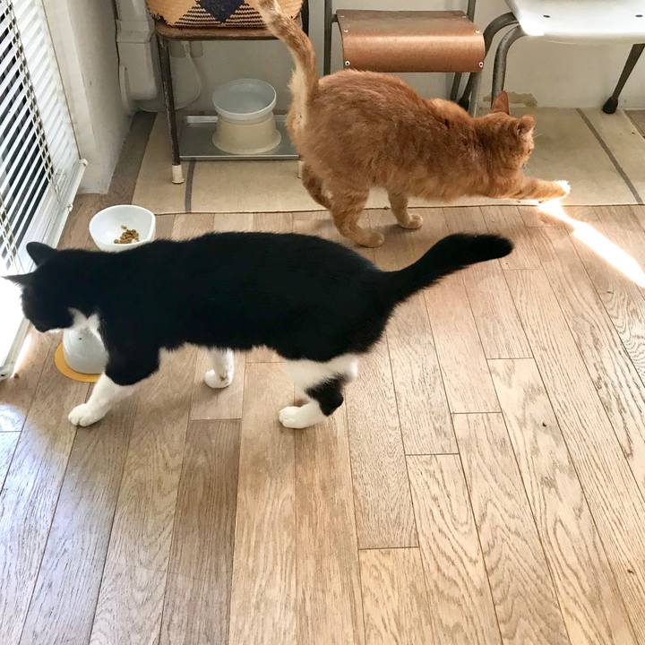 6c4f2c08 3a51 464b 92e5 3c8945e81be2 1554263190082