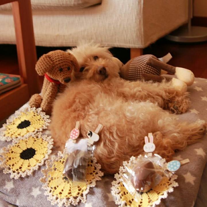 6c4f6111 1535 4896 96f1 96cd25396e26 1586430119127