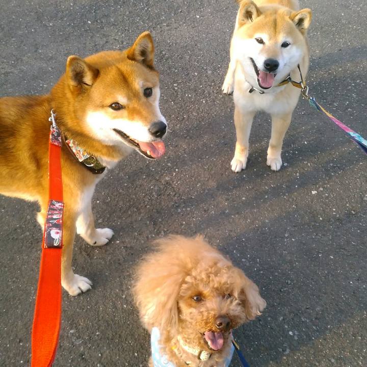 6c4fe720 31db 46d2 874e 3882f7b65430 1522829137555