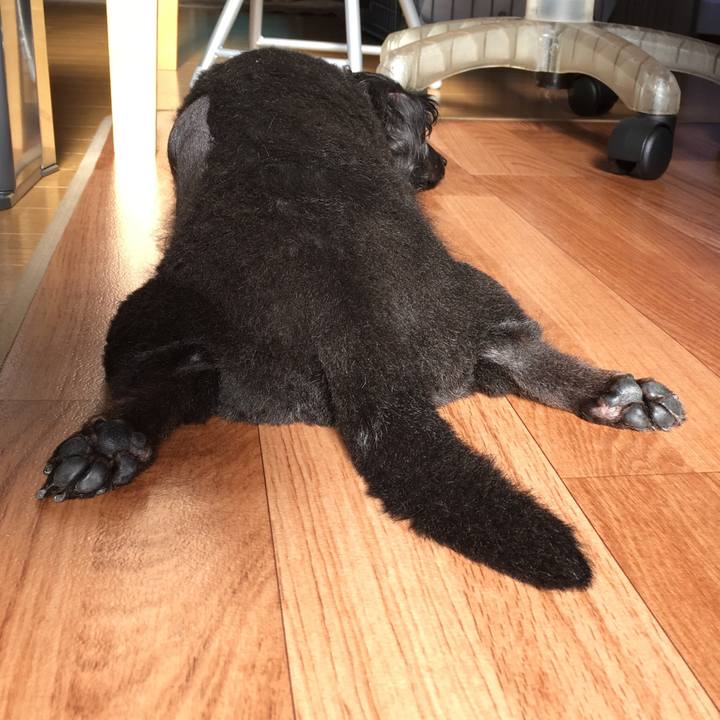 6c5020f4 a4dd 4e57 831b b40b0740023e 1512943202101