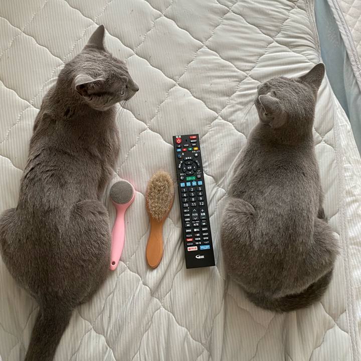 6c502e9b 99b6 48e6 a203 d9592faa9c4a 1659674367986