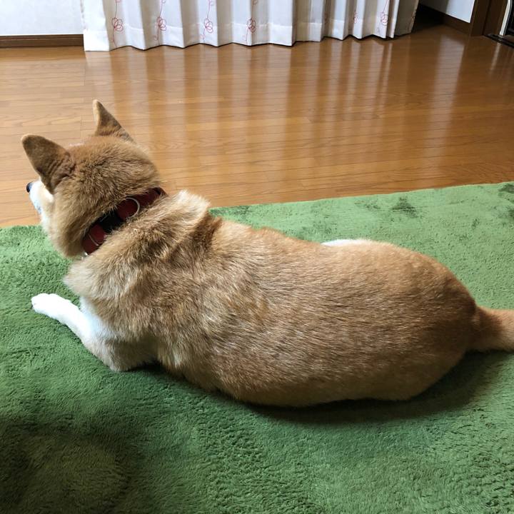 6c5047ff 0dda 4e8f 961c d3a0a5adb7de 1541069619252