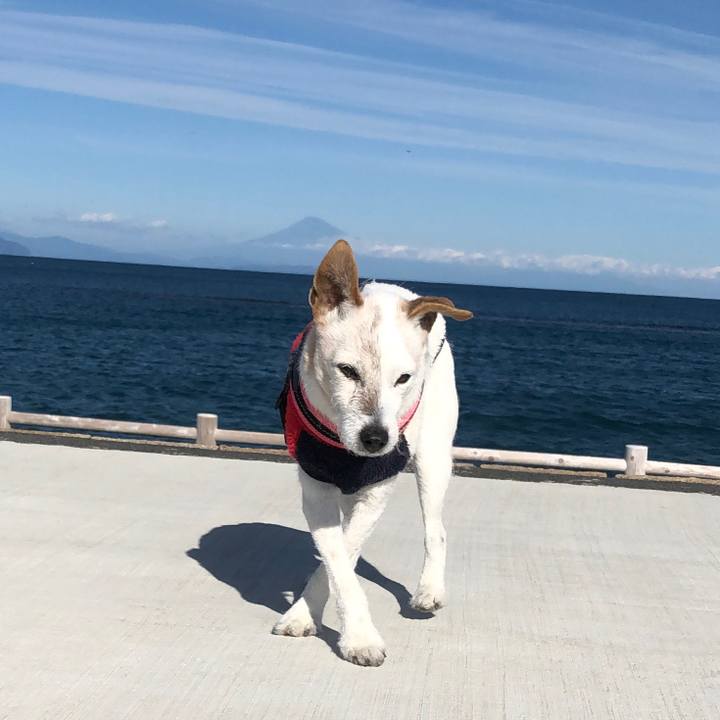 6c50585a c209 4686 a130 a6d4fa2fbca9 1609380988459