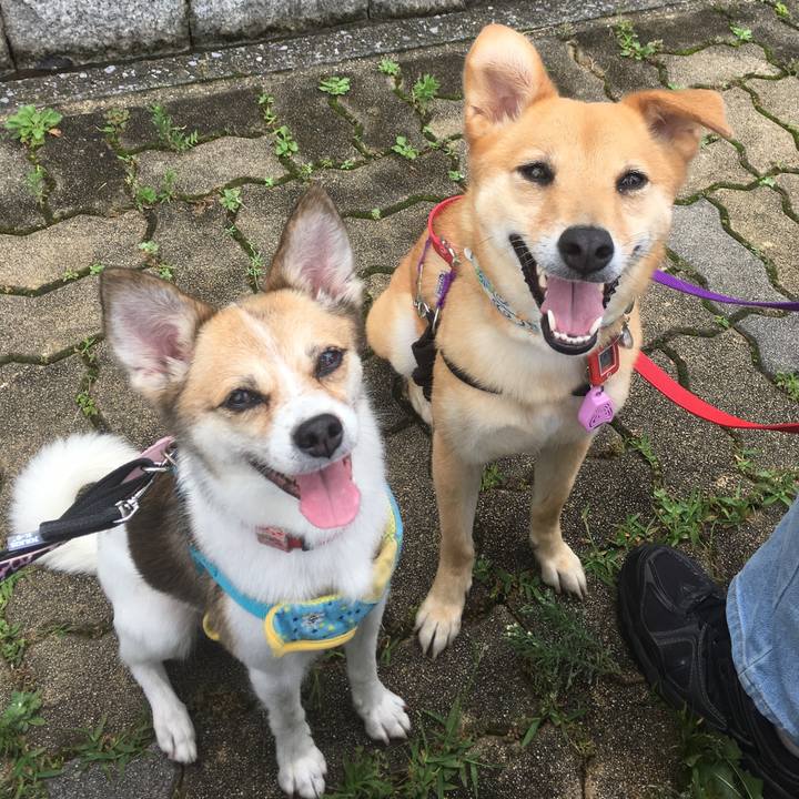 6c505a63 d9a0 4af3 ac42 93746ae70fc0 1564589386007