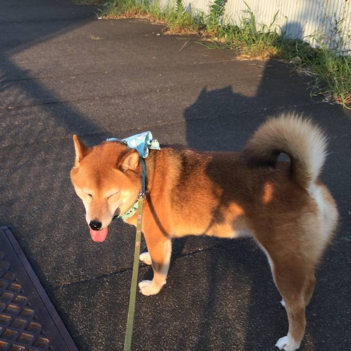 6c5090d9 f4a6 4716 8694 9a905d177cf3 1564909574106