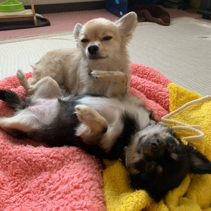 6c509492 bd2f 4062 b90e 97536afd7e0e 1571699657115