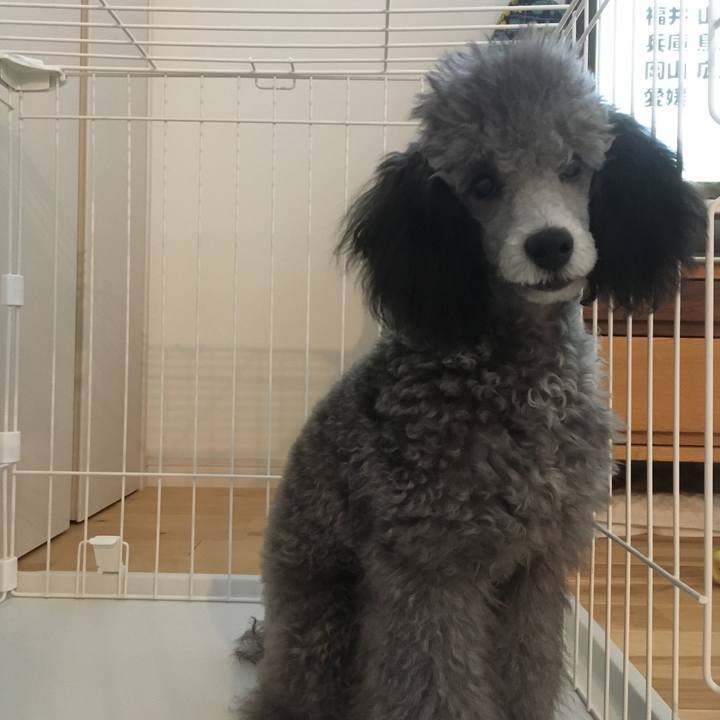 6c50eba1 5d67 4847 bf9a 73ca21d40323 1598118824611