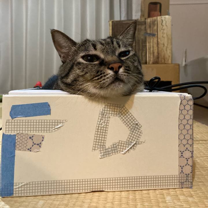 6c50fbfa 7227 4ec2 9ca7 4349c09ae2c2 1601897578646