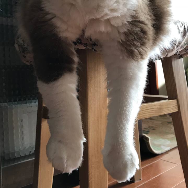 6c510c0b c37a 442c 87ef 1fd2605035cc 1509624122890