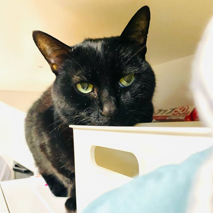 6c515c9c 0940 4190 9cf5 3e78317d0d38 1709294920035