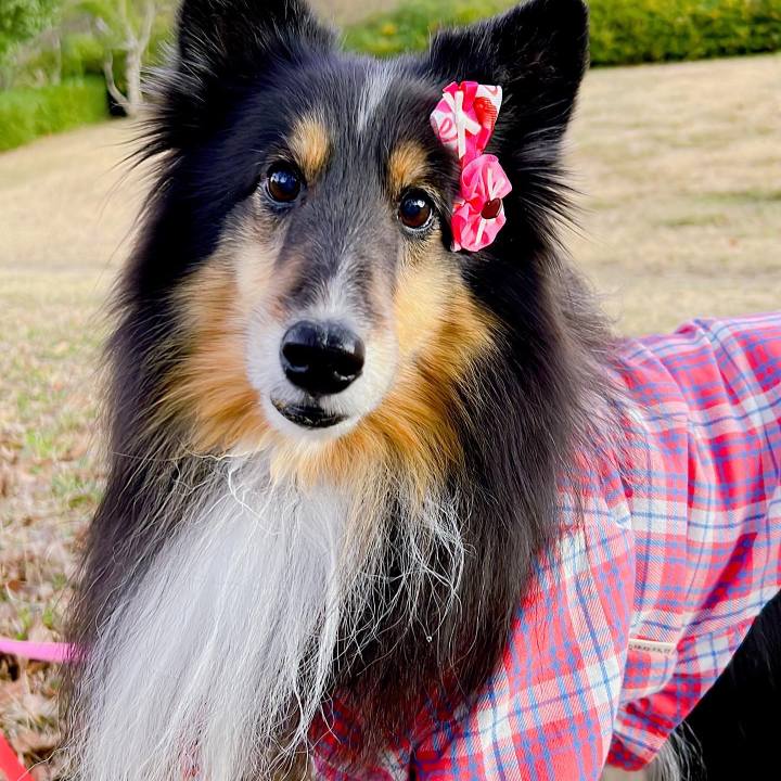 6c519ee6 9fb7 4590 8e42 1591ae8c8b60 1641492920216