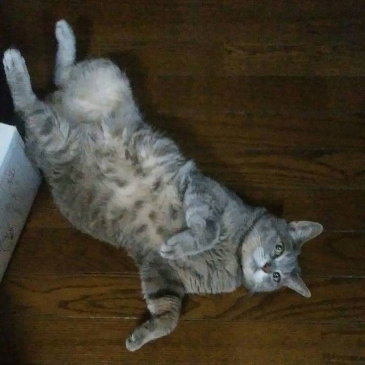 6c51a0f3 8724 4af5 8b85 e9ac9e4e63eb 1565345692935