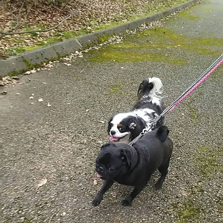 6c51c86c 6de9 4073 90d9 6e7ca6c6526d 1549433034110