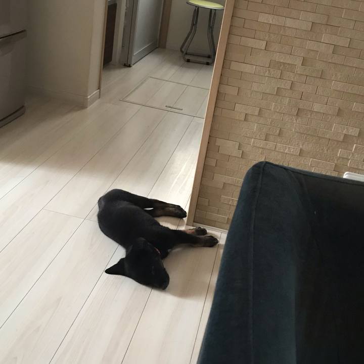 6c51f5c7 b460 4f64 b8ba 00f22c6b3e74 1569126323380