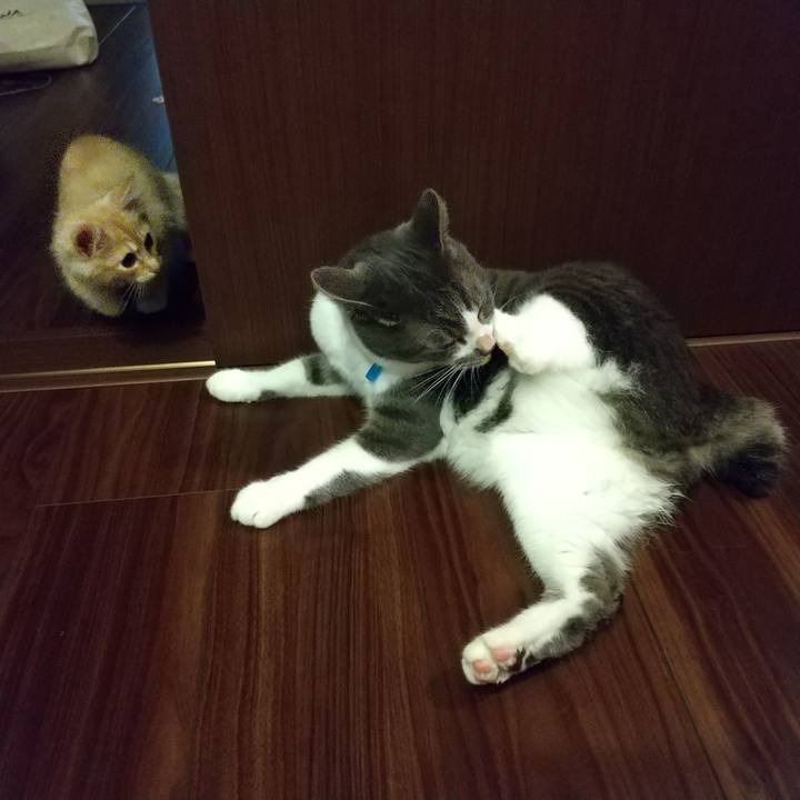 6c522f81 c9ff 4d72 9fb1 188fdd7d44cb 1605822210488