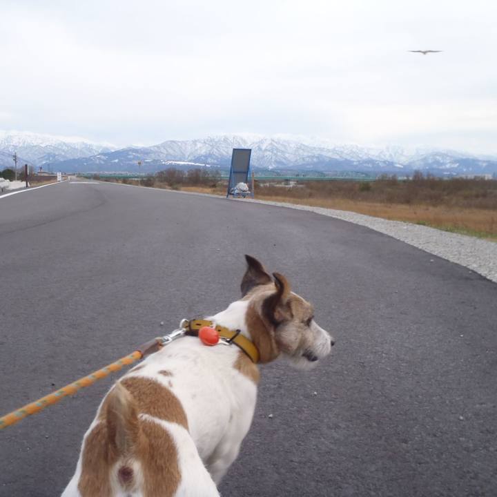 6c523158 7207 4a4d 9411 5b739590bb82 1513850569078