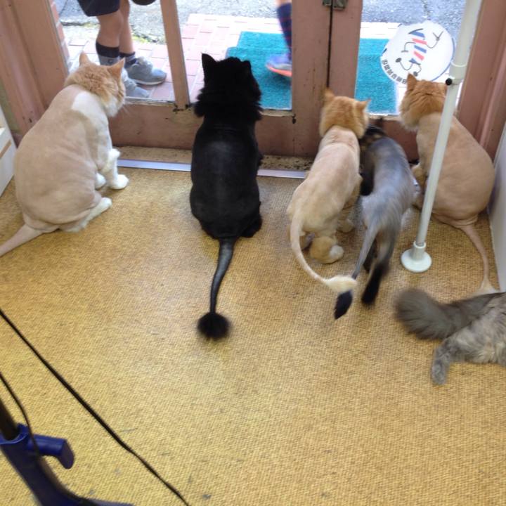 6c524082 c436 43fe 8e7a b8d02f4c656f 1512522737079