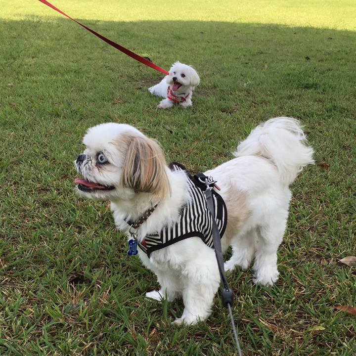 6c528e56 fdcf 4b5b a336 ba19f1e0630c 1534656715408