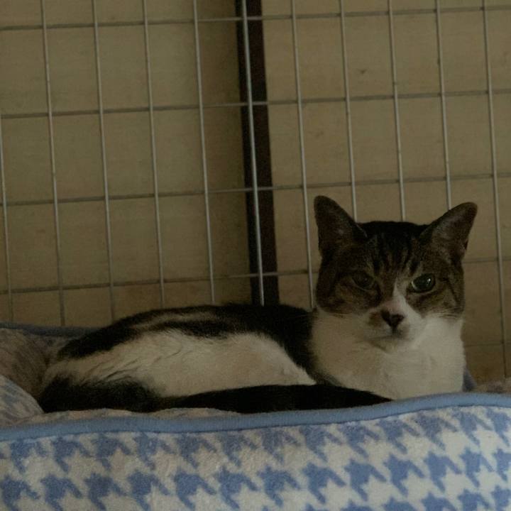 6c52a3c6 17ad 400e 893e 6880a5001b08 1600996892441