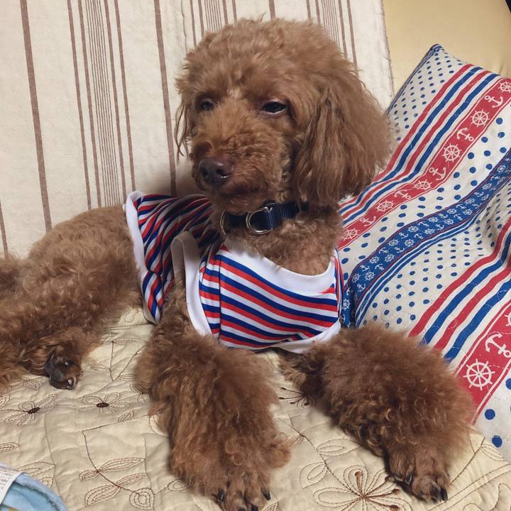 6c52ea9c c984 475f a326 7f9cb7a06485 1564834425437