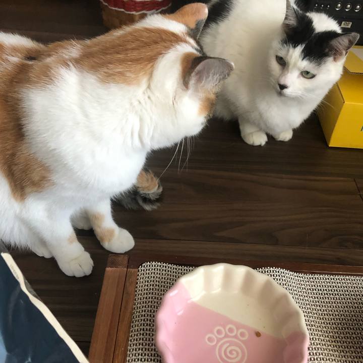 6c530086 5d42 4e5c 9f04 3ac92e7a98a8 1605326411595