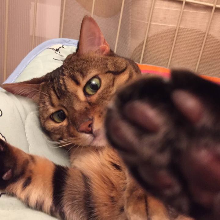 6c532695 c25b 4fd7 9912 2a6840ff71e0 1527378368042