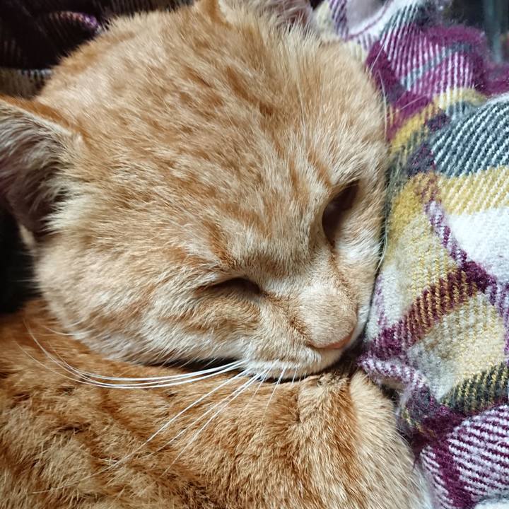 6c53bda7 ca9f 40b4 88c4 1d61b813e22a 1575060804824