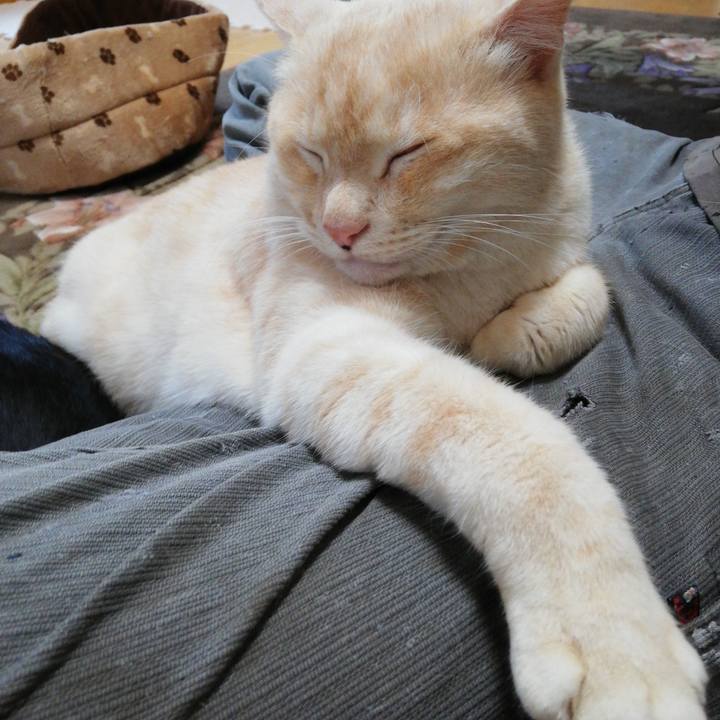 6c53d311 6362 4a6c 9245 697dbc603b3c 1617832783243