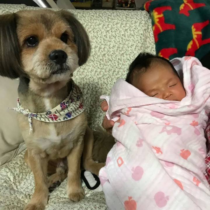 6c53d6ae b364 437f 9b95 e966b4e7a18a 1540124820955