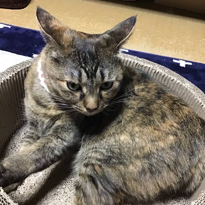 6c53e295 43db 4759 9979 42ac866d49e6 1710675774105