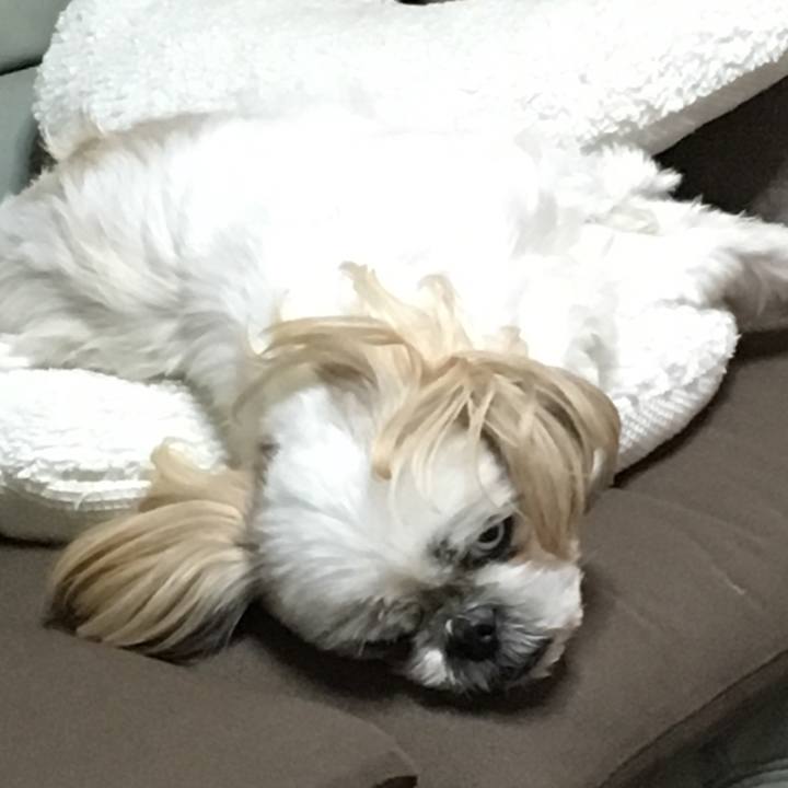 6c53e67d 950e 4abb 9158 872e1af62bec 1575978869047