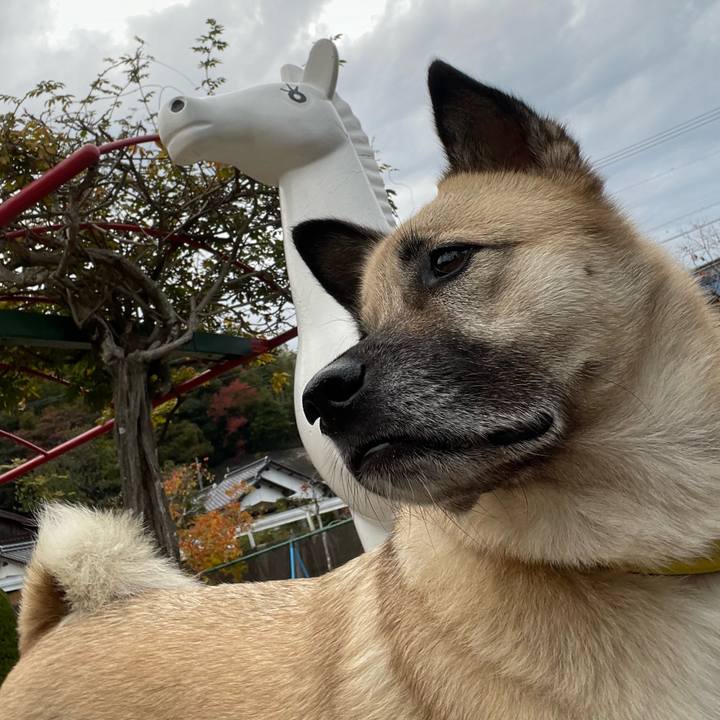 6c54223d c4fb 4549 bd9d 3bfbcbc744f1 1637484568405