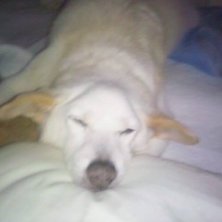 6c5446d1 008f 4b6c a3c6 4fb4a1ebac74 1532307489544