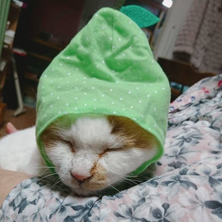 6c54b5f4 9943 4b5f b8a3 c65e0900bd3a 1566644098252