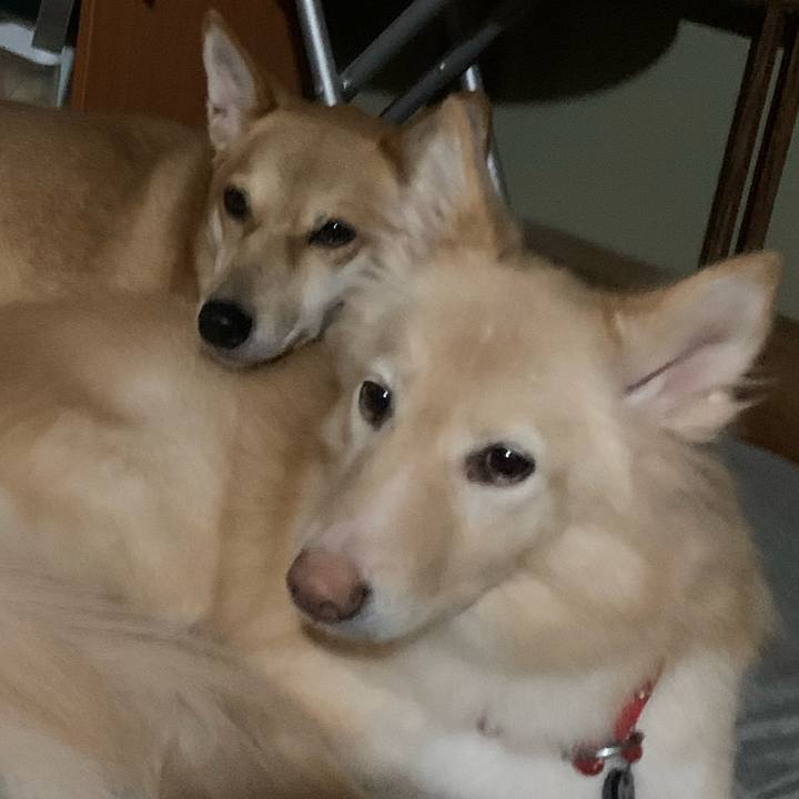 6c54c137 4ae6 4606 8aca 7b3b73415821 1670121307982