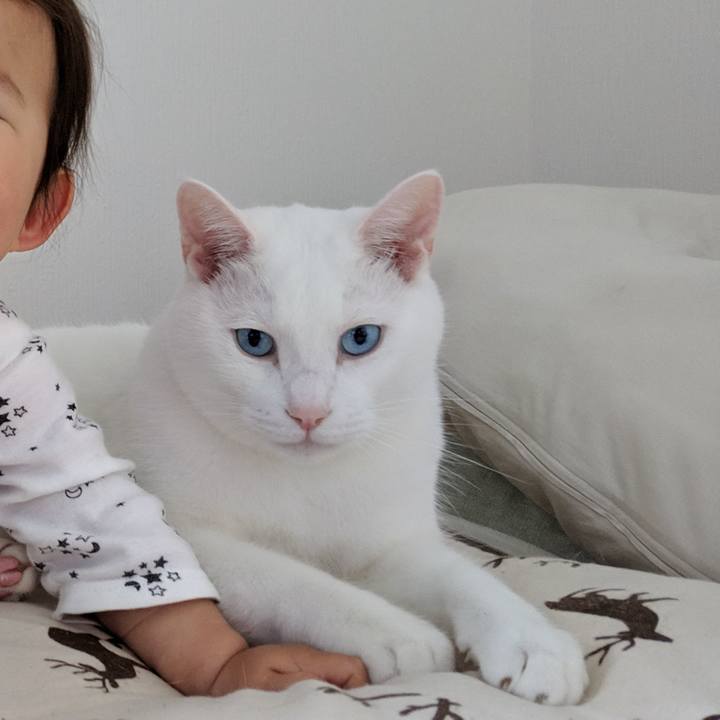 6c54c21e 8e74 4831 b6ef 466b43036199 1557076392054