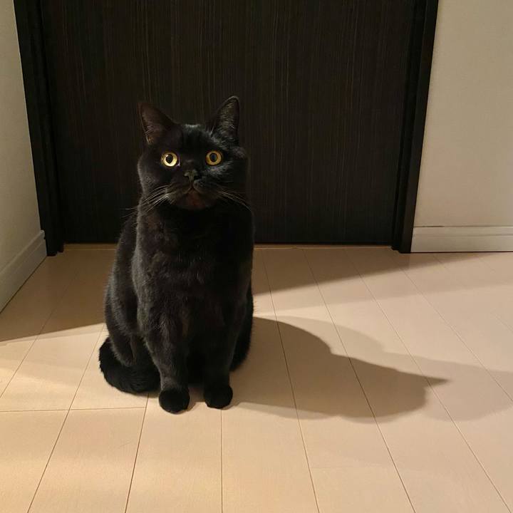 6c54e452 677d 4652 bb7e d47550ed19b7 1740572671660